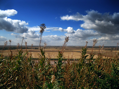 england uk unitedkingdom rural lincolnshire landscape sky nature plants flowers