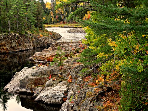 river water stream curving flowing rocks trees colour fall leaves nature spruce pine naturescarousel