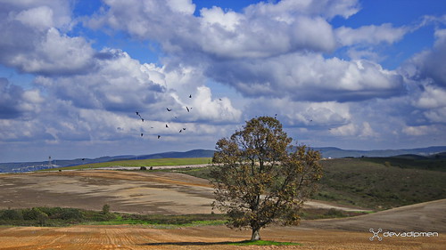birds bulut clouds doğa istanbul kuş landscape landscapephotographer manzara nature naturephotographer tuzla türkiye