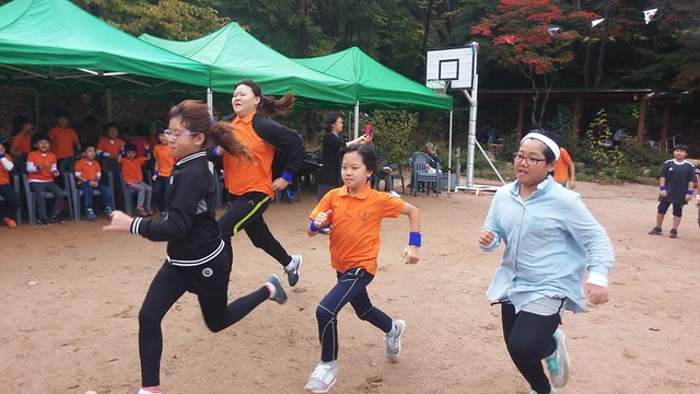 엎치락뒤치락 청백전 | 화북초등학교 가을운동회