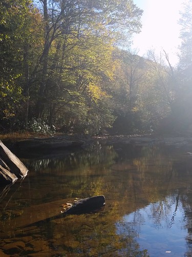creek stream trees rocks fall foliage autumn leaves westvirginia west virginia gotowv reflection