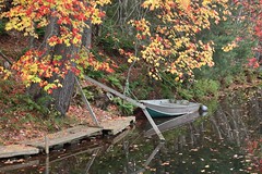 Boat and Fall Leaves