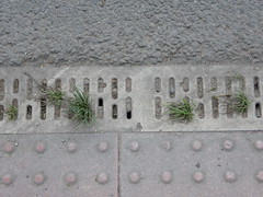 drainage kerb gardens