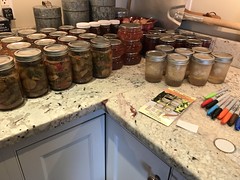 pickle and jam jars IMG_0578