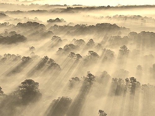 littlewashington sunrise drone fog air n