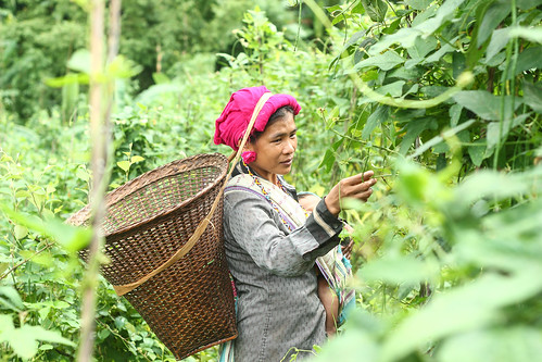 Sinley Mro, 29, at her vegetable garden in Kramadi Para, Suwalok Union, Bandarban Sadar, Bandarban, October 2017.