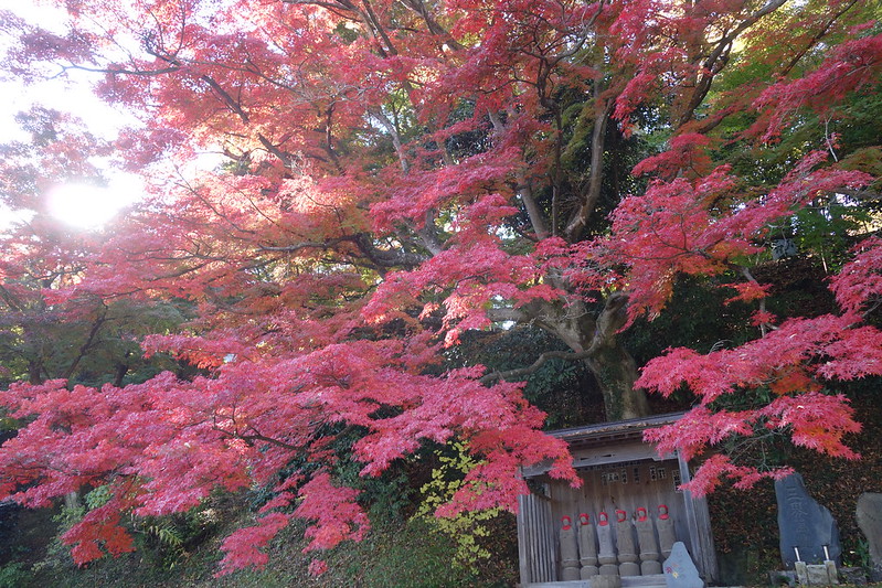 茨城 大子 遊 永源寺 漫天楓紅的私房景點 阿瓜在台灣日本的溜搭生活 痞客邦