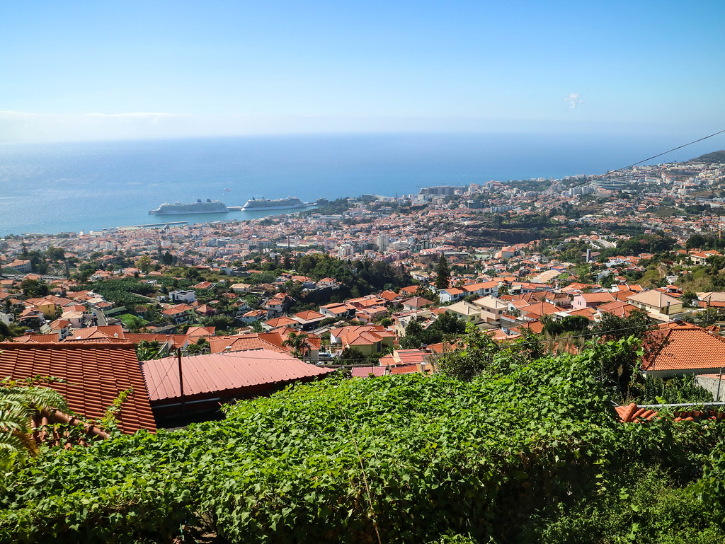 Visitar Funchal