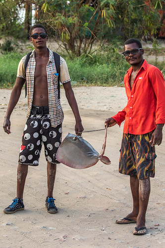 beira mozambique lunamar isced fish fisherman skate