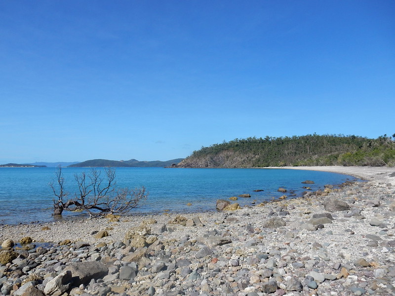Airlie Beach y las paradisíacas Whitsunday Islands - AUSTRALIA POR LIBRE: EL PAÍS DEL FIN DEL MUNDO (6)