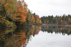 Autumn Reflections 3
