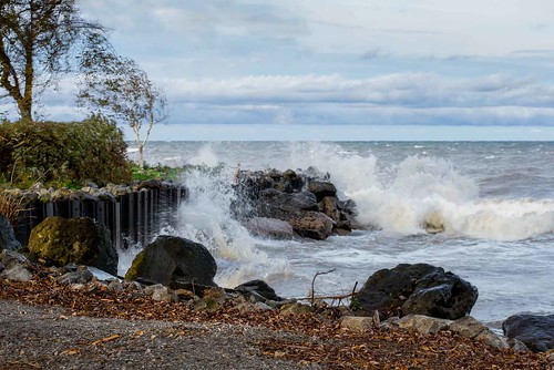 canada fall grimsby grimsbypier lakeontario landscape ontario ortbaldauf tree autumn cold lake nature ortbaldaufcom outdoors photography pier rocks shore storm water waves windy november stormy photograhy seascape greatlakes