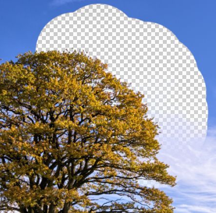 Hướng dẫn xóa nền đơn giản bằng Background Eraser trong Photoshop