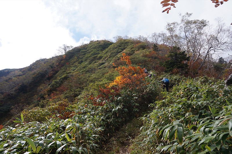 Mountain-climbing path "KAGA ZENJOUDOU BIJOZAKA"