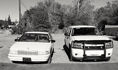 Chevrolet Caprice and Chevrolet Tahoe