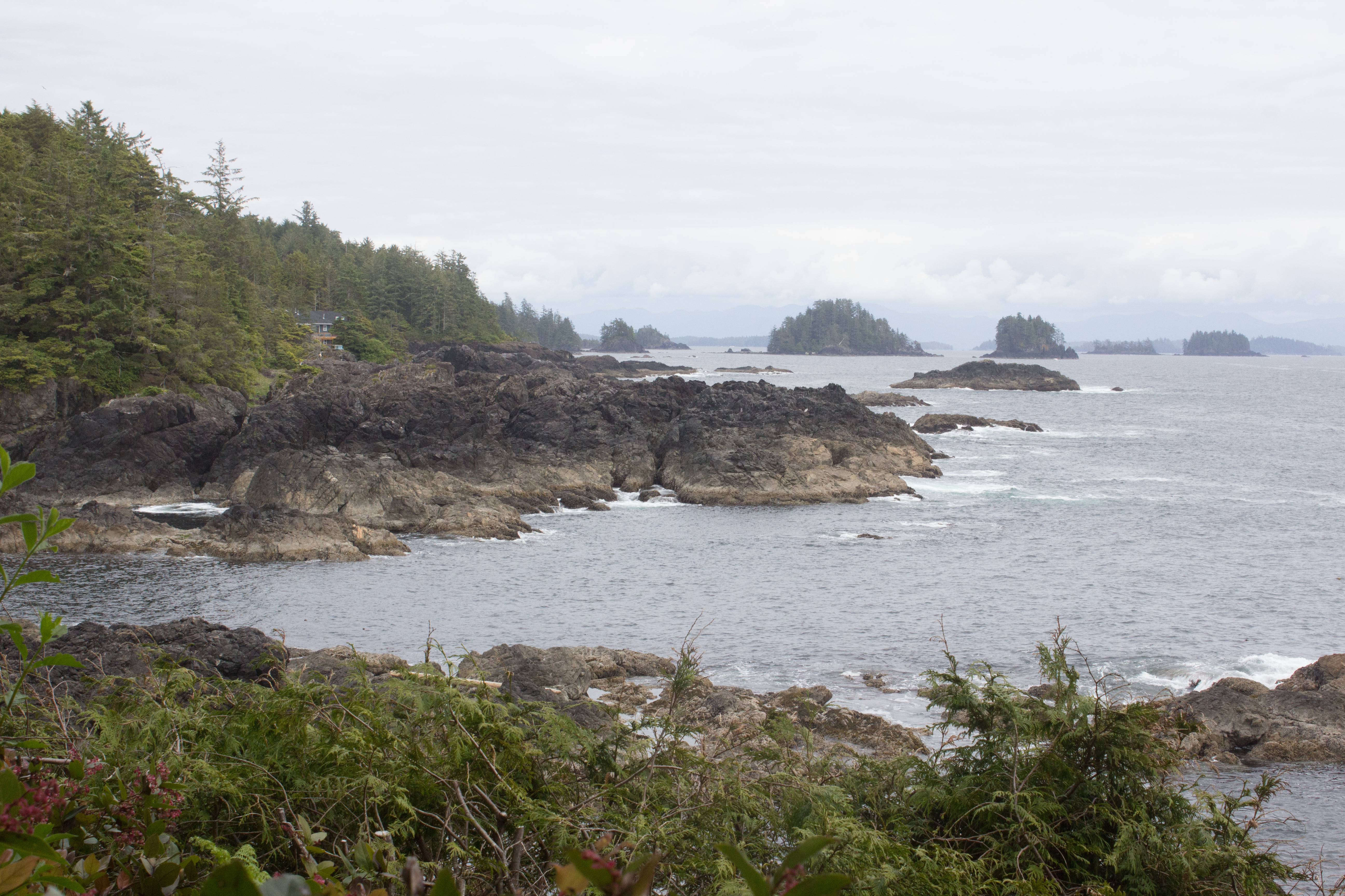 View from the Lighthouse Loop, in Ucluelet
