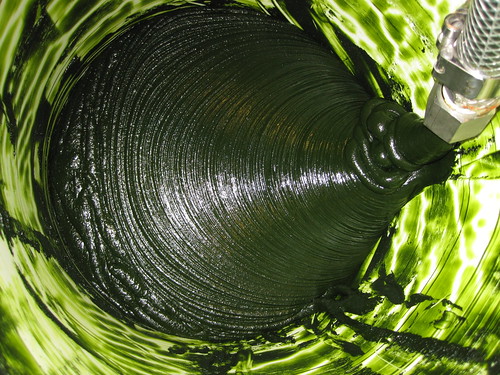 Algae-Based Feedstock