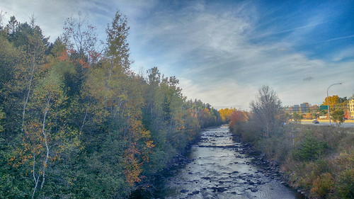river biking landscape fall autumn colors halifax novascotia trail
