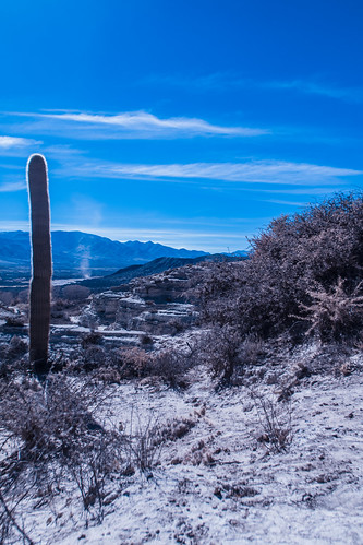 ir uv fullspectrum amlat landscape humahuaca cactus