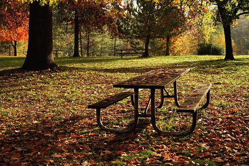 rogueriver oregon november 2016 restarea autumnal autumn fallcolors picnictable naturesbeauty sonyilce7rm2 fe24240mm alvinharp