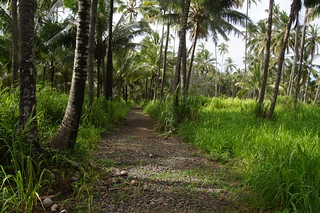 355 Ruïnes Coco Palms Resort