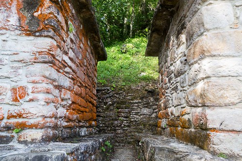 bonampak maya mexico jungle moss ruins mx