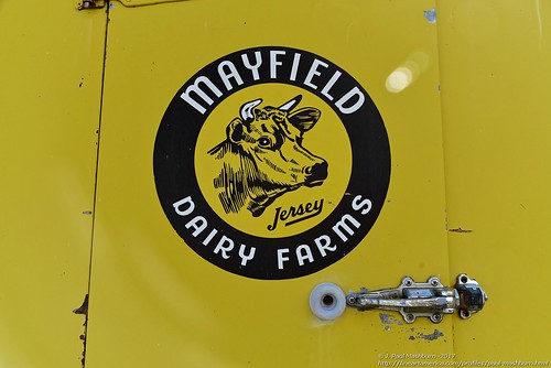 mayfield mayfieldfarms maggie cow cornmaze cornfield corn silo pumpkins tractor corntassle cornsilk barn barns