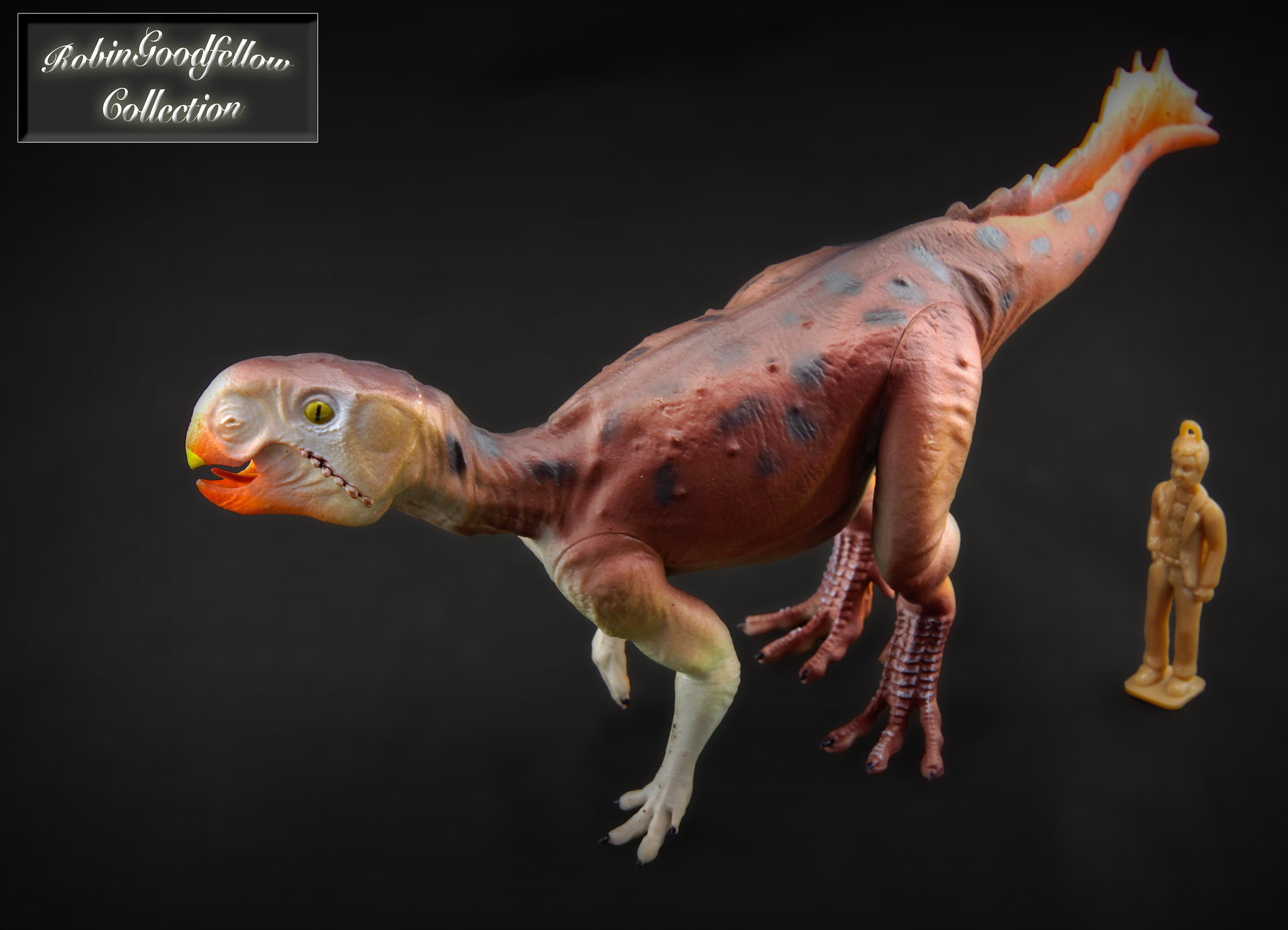 Floz Psittacosaurus Dinosaurs 7.5“ large PVC solid Figurine Figure model 