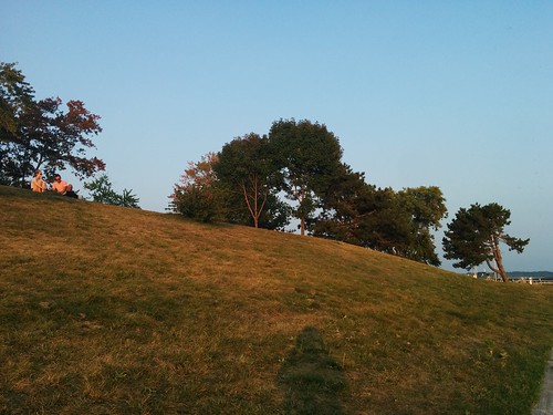Hill in Trillium Park #toronto #ontarioplace #trilliumpark #evening #hill #latergram