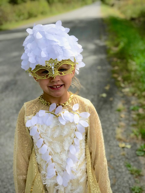Snow Owl Costume For Girls from Chasing Fireflies