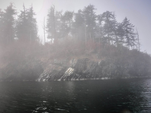 Samish Island Paddling in Fog-31
