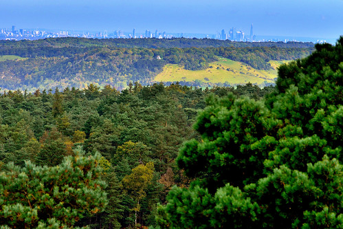 view viewpoint trees surreyhills hill boxhill leithhill london londoneye tower nikon nikkor