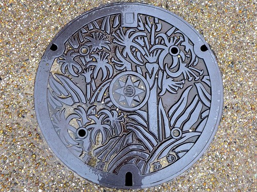 Yokosuka Kanagawa, manhole cover 2 （神奈川県横須賀市のマンホール２）