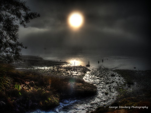 washingtonstate pacificnorthwest hoodcanal sunrise fog water moody reflections