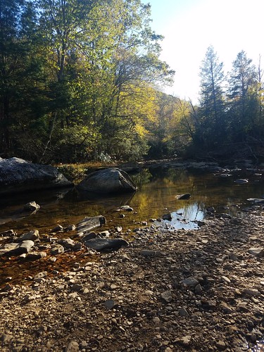 creek water rocks sunshine sun fall westvirginia autumn trees shadow leaves reflection gotowv west virginia