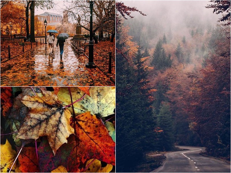 5 reasons why I love autumn