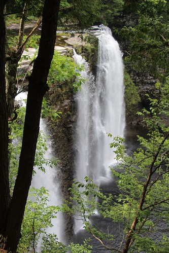 usa new york state salmon river falls attraction nature forest trail