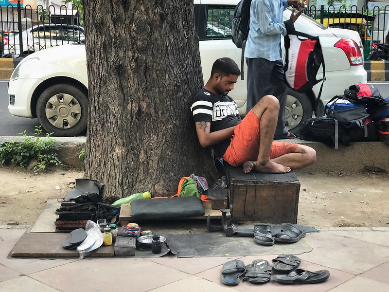 City Nature - The Tree People of KG Marg, Central Delhi