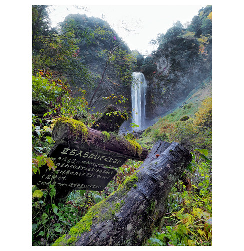 2017 october japan gifu hirayu waterfall mountains trial outdoor autumn signpost trunk trees nature wilderness olympus liveactionhero