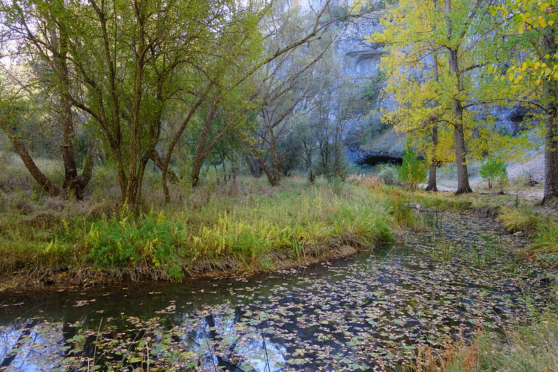 Senderismo por España. Mis rutas favoritas: emblemáticas, paseos y caminatas - Blogs de España - Ruta del Cañón del Río Lobos (Soria/Burgos). (29)
