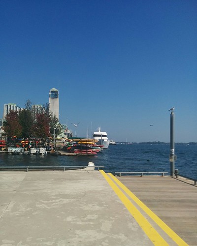 HTO Park (8) #toronto #htopark #harbourfront #parks #beach #summer #fall #autumn