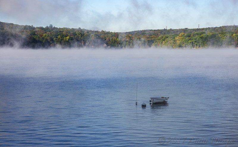 Misty Lake Morning