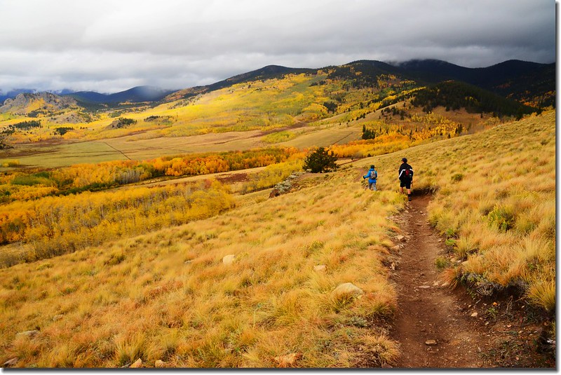 Colorado Trail (14)