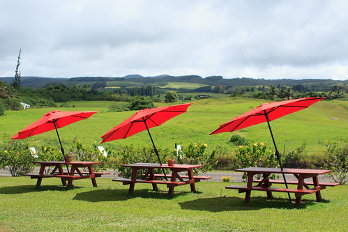 umbrellas meadows landscape kohala northkohala picnictables red hawaiʻi threecrowns iphoto fields grassland hawaii christoandjeanneclaude hawaai bigisland road
