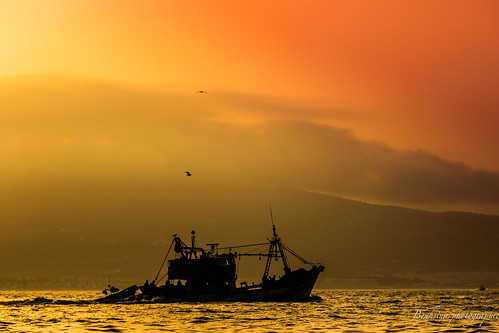 pêche pêcheurs bouhsina bouhsinaphotography maroc tetouan or dorée mouettes lumière soleil coucher mediterranée silhouette canon 7dii ef70200