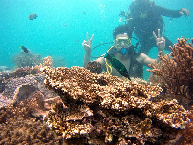 Private Diving Tour Nha Trang