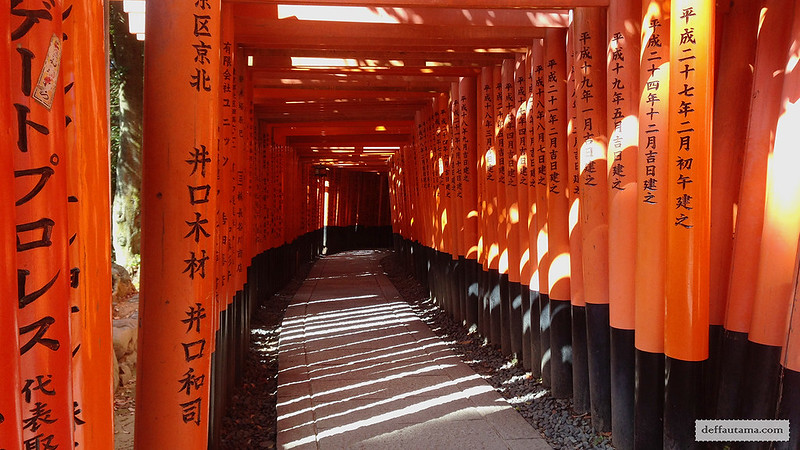 3 Hari Keliling Kyoto - Fushimi Inari 3
