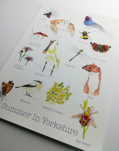 “Summer In Yorkshire’ print inspired by walking and sketching outside. Artist Angela Hennessy
