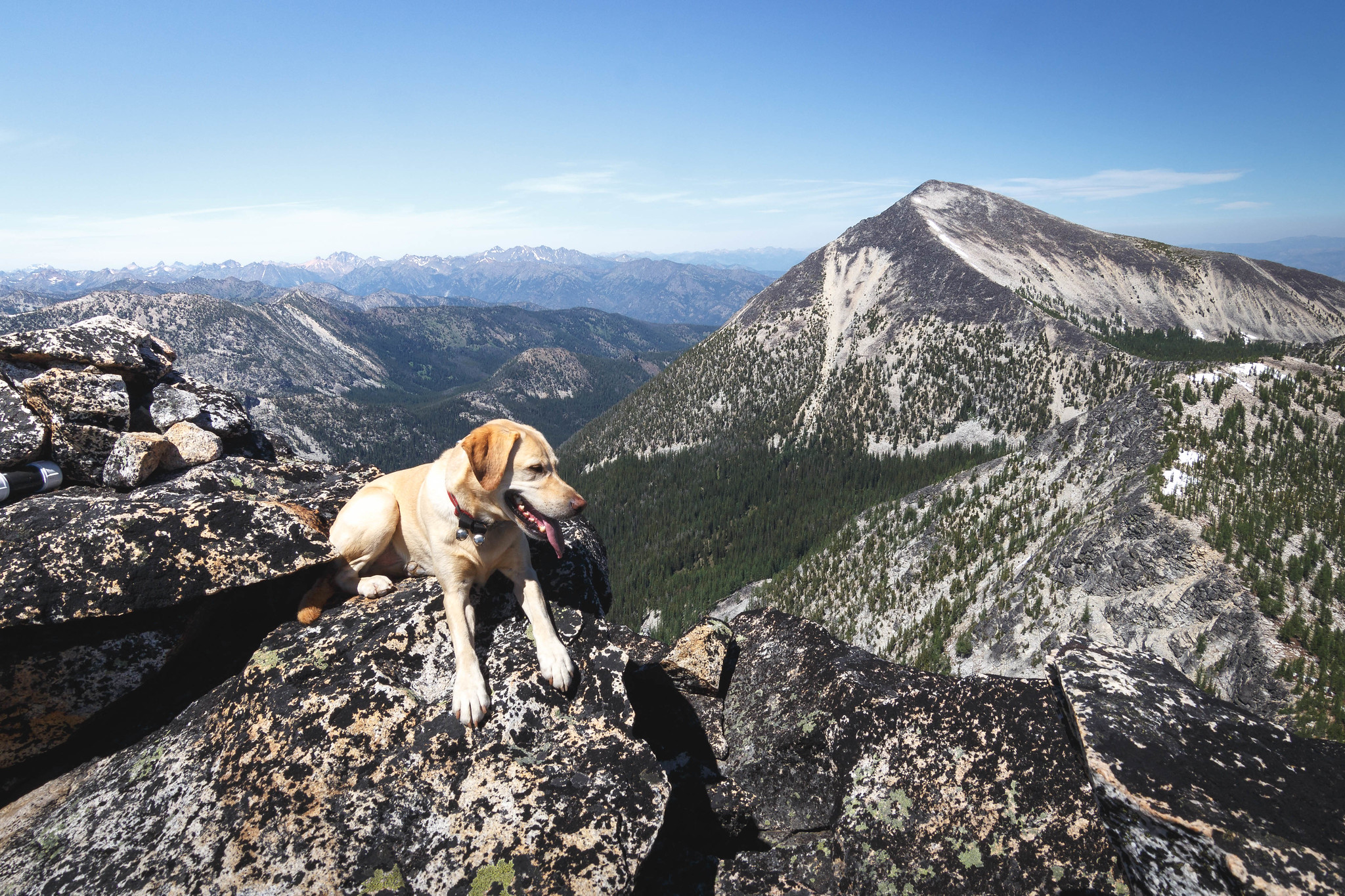 Summit dogs on Buttermilk Ridge