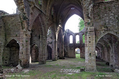 51 Trois-Fontaines-l'Abbaye - Abbaye XII XV XVI XVIIème